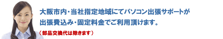 大阪市内 吹田市 豊中市 茨木市 摂津市 高槻市 神戸市 灘区 東灘区 西宮 芦屋 のパソコン修理 ウイルス駆除 ハードディスク修理は大阪のフロムワークスへ06-7651-6510